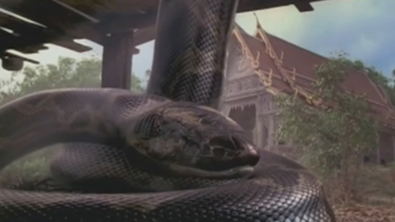 Anaconda 2 3gp hindi dubbed movie